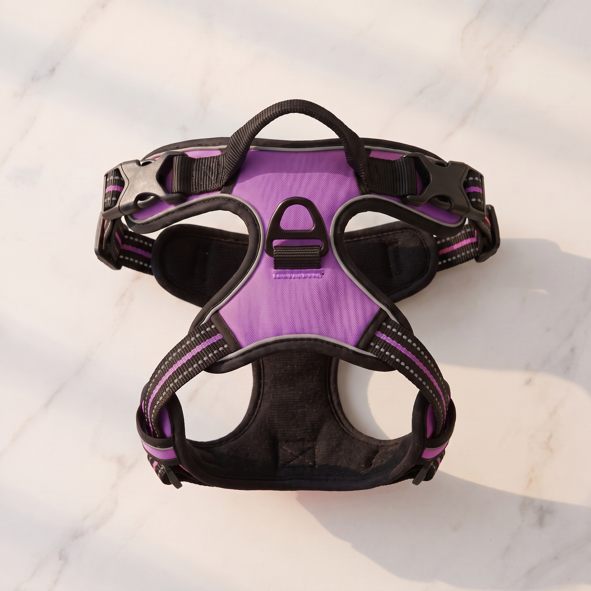 Harnais Pawki violet