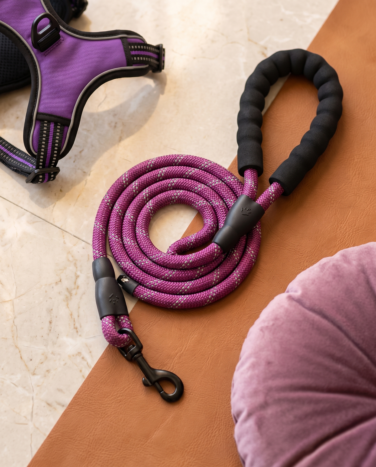 Laisse Pawki violette